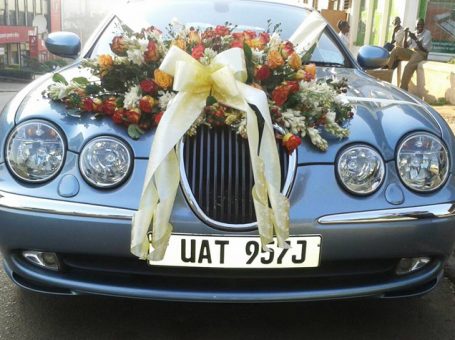Jaguar World Service
