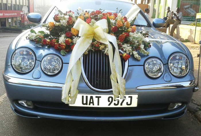 Jaguar World Service