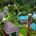 Have your honeymoon in Uganda