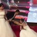 Ex-girlfriend crashes a couple’s wedding wearing a bridal gown