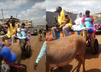 Kenyan couple rides decorated donkey cart to their wedding