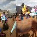 Kenyan couple rides decorated donkey cart to their wedding