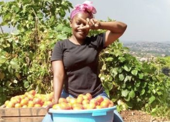 Ugandan lady in search for a wedding date turns to Twitter for help