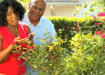 Building a marriage that will last a lifetime
