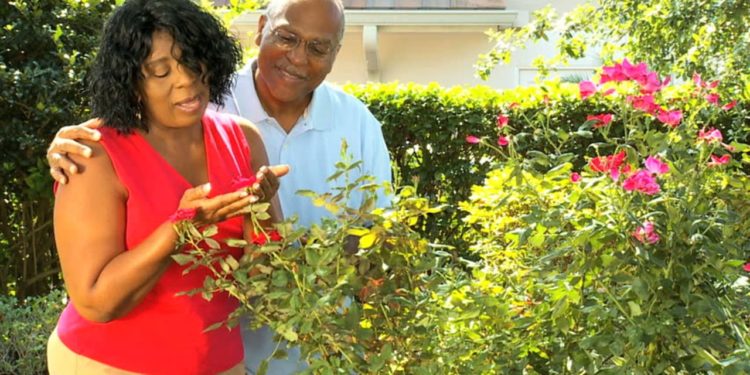 Building a marriage that will last a lifetime