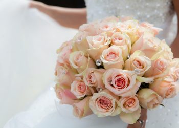 Floral whispers: What these flowers secretly symbolise