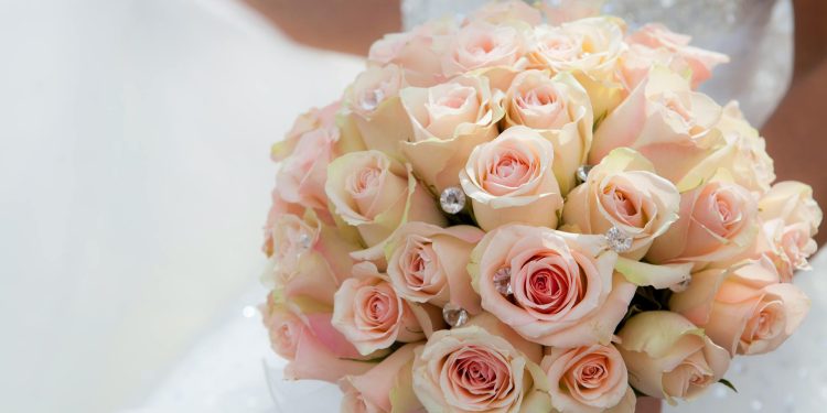 Floral whispers: What these flowers secretly symbolise